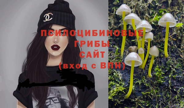 бутират Баксан