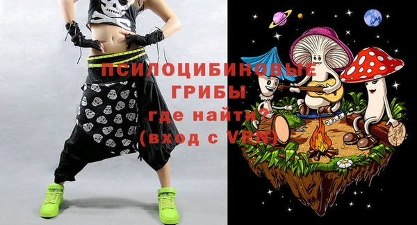 хмурый Белокуриха