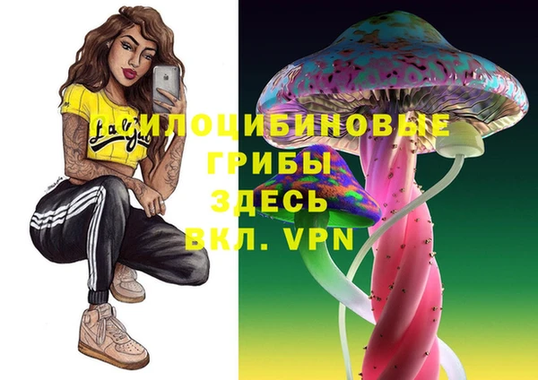 амфетамин Богородск