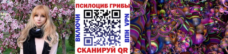 Псилоцибиновые грибы Psilocybe  hydra зеркало  Большой Камень  магазин  наркотиков 